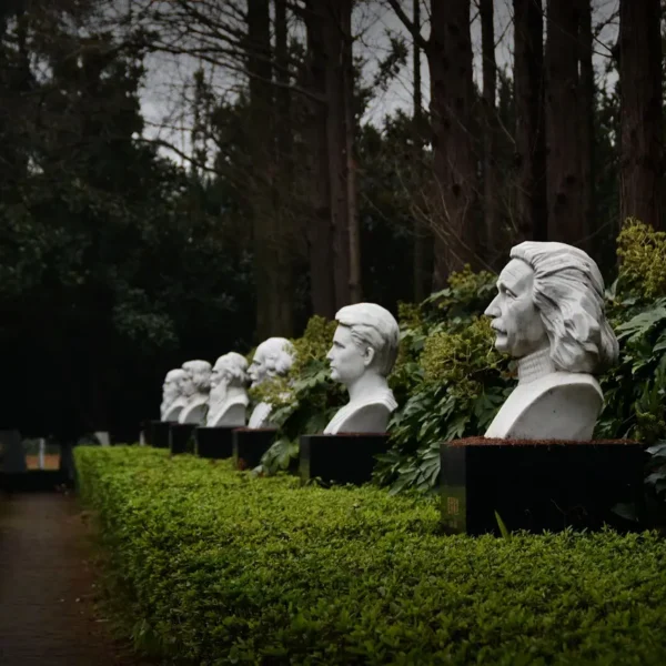 Julkkikset ja brändien mainonta