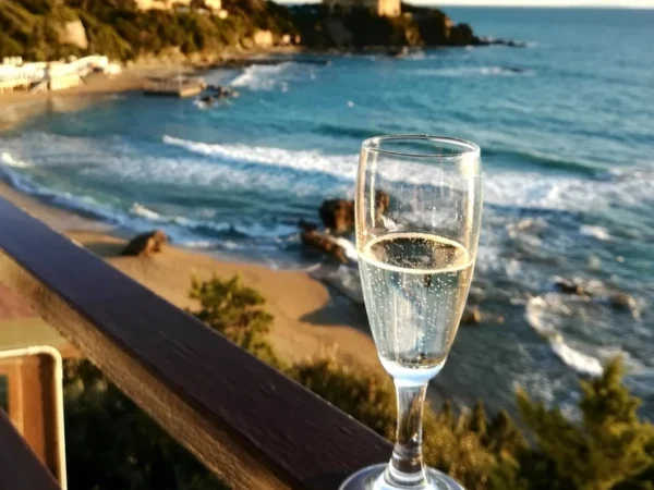 Julkkisten yksityiselämä